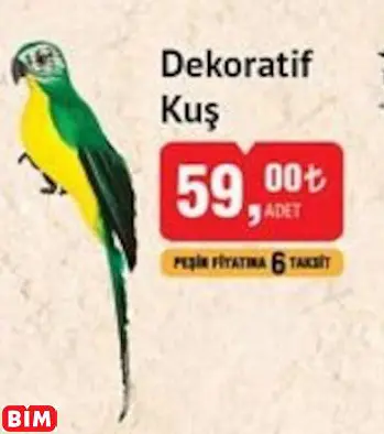 DEKORATİF KUŞ